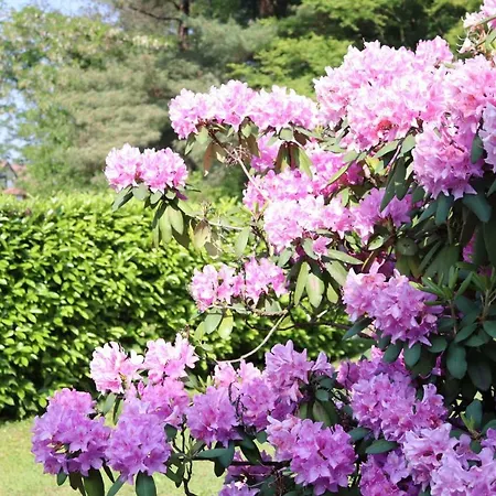 Casa Martina Apartment