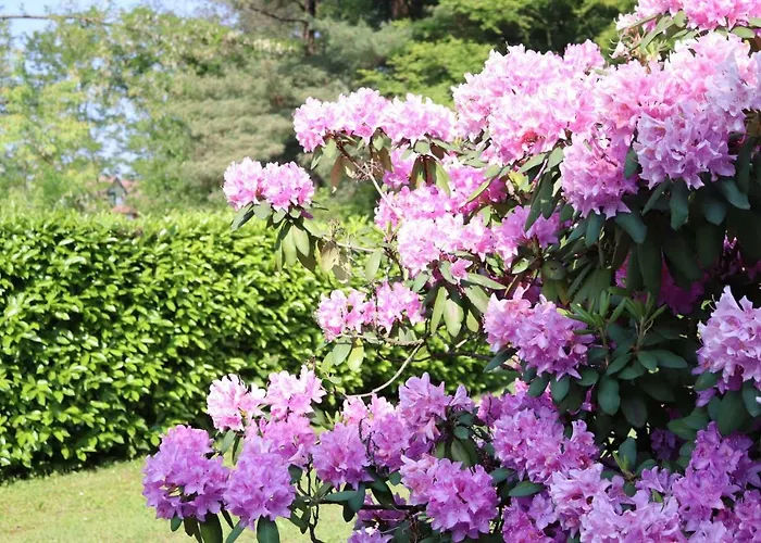 Casa Martina 아파트